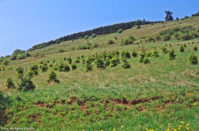 Blick auf den Grotenberg bei Welleringhausen